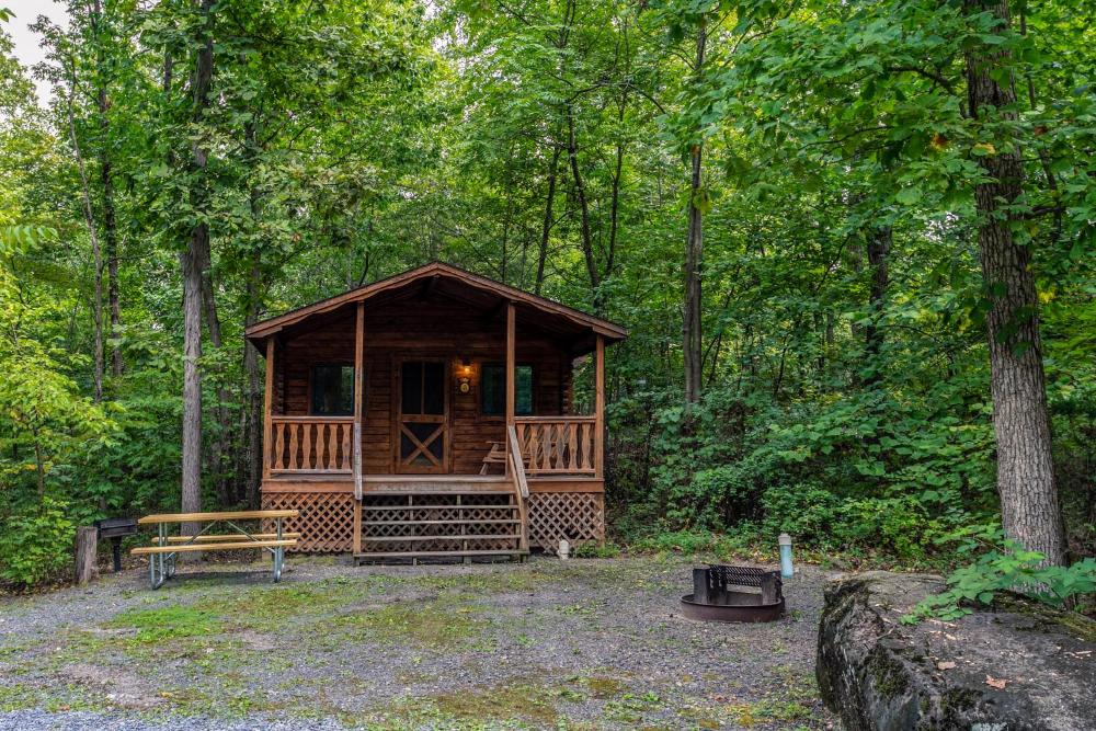 One-Bedroom Cottage BC interior